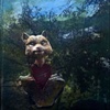 Painted photographs and collages