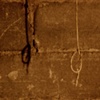 Knot and Shadow