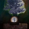 Oak Tree Two Seasons
