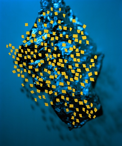 untitled, 2011
24" x 20"