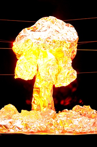 Amanita Virosa (the Destroying Angel), 2008