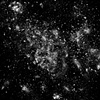 debris site #5, diptych (remains of a school, West Philadelphia), 2012
each image is 52" x 40" 