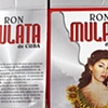 Mulata from the series Venceremos