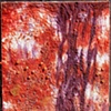 Potpourri