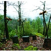 Propellers