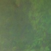 "vert"