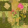 Spring Blossoms - II Series