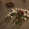 The Language of Flowers