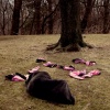 Core Disposition (Still of performance)