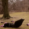 Core Disposition (Still of performance)