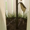 Beyond the White Picket Fence.Detail.