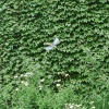 In Flight: Prelude to Consequence
