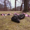 Core Disposition (Still of performance)