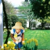 Caught: In Jackie's Garden