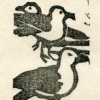 Gulls