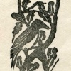 Summer Bird