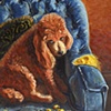 Poodle In Flagrante