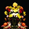 Symmetrical Still Life