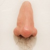 Portrait of the Artist's Nose in 30 years