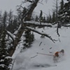 Sbc Resort Guide 08/09
Sunshine Village. ( really Lake Louise )
Photo/ A.Bradely