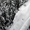 Published in Powder Magazine
Feb 2010
Early season pillows
Whistler
Photo/A.Bradley