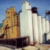 Grain Silo's