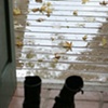 October at Home