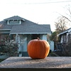 Autumn in Oakland