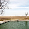 Delta Farm Pool
