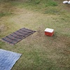 Hawaiian Picnic
