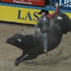 NATIONAL FINALS RODEO