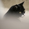 HUNTER