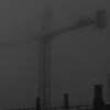 CRANE IN THE FOG