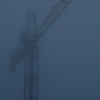 CRANE IN THE FOG