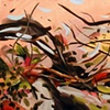 Branch