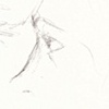 sketch
