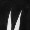 the bunnies come out at night  promo