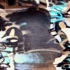 VISION AT LAKE MERRITT