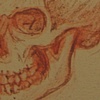 SKULL STUDY- FROM IMAGINATION 