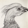 invented bird-page from sketchbook