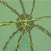 GREEN STAR