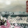 2010