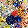 Lichen study #6