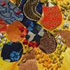 Lichen study #4