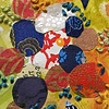 Lichen study #5