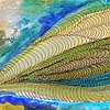 Seed Pod study (detail)