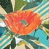 Poppy