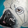 Gordie the Wise Bulldog