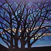 Evening Sky