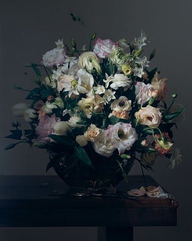 Floral and Insects